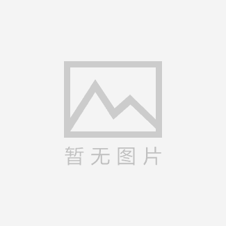 荣鹏气动家具喷漆枪高雾化面漆喷枪气动油漆喷枪R71G/S R77G/S